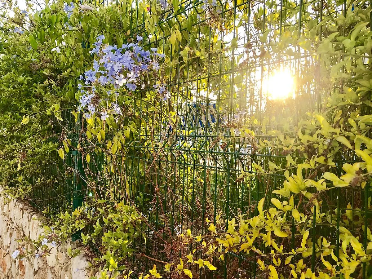 Apartment Marina Garden By Ethnic Ocean Portugal